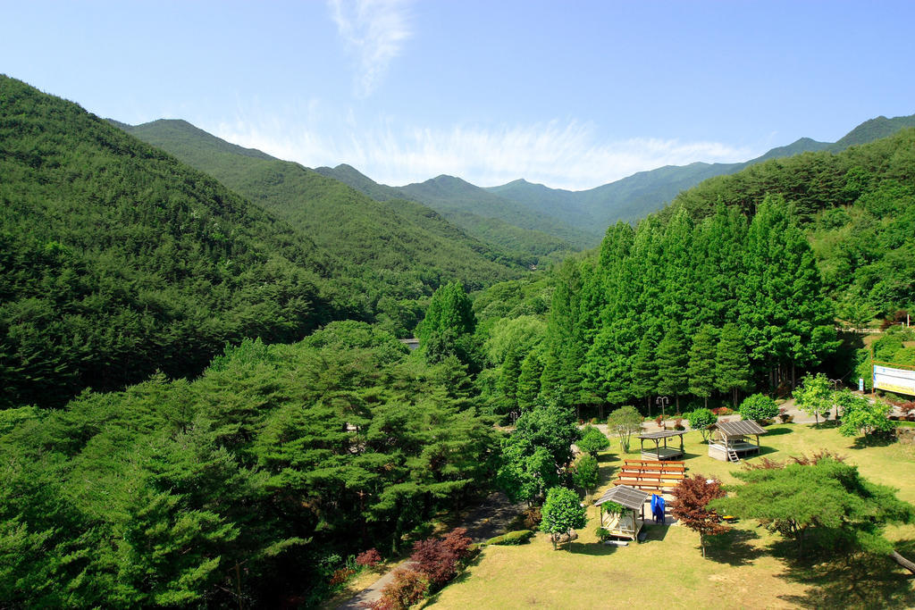 Hanwha Resort Jirisan Gurye Exteriör bild